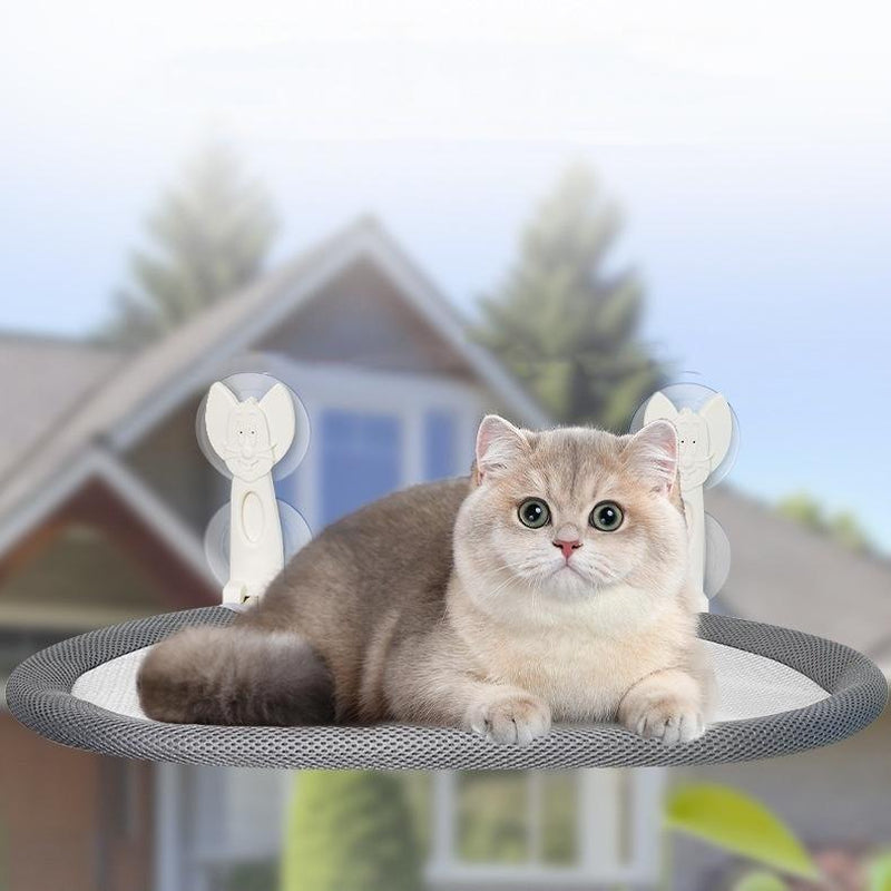 Folding Cat Hammock for Window Robust Metal Frame 4 Strong Suction Cups Foldable Machine Washable Bed Cat Window Perch for Cats and Small Dogs Cordless Design Reversible Covers 360° View - Apartment